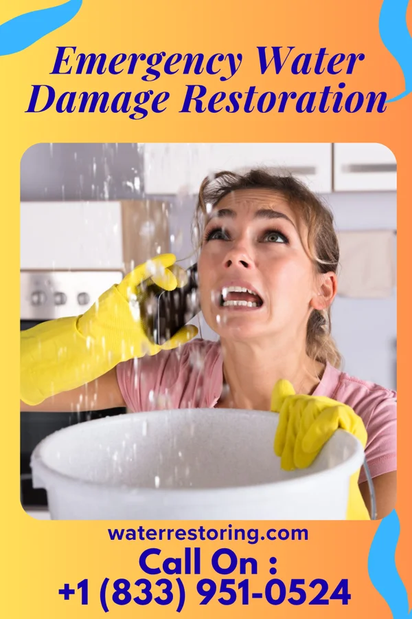 Emergency Water Damage Restoration in Arcata, CA